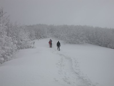 nella nebbia con le ciaspole nella nebbia con le ciaspole