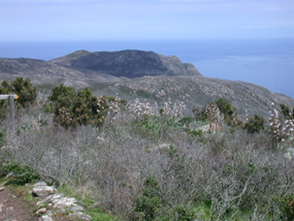 Isola di Capraia