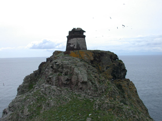 la torre dello Zenòbito all'Isola di Capraia