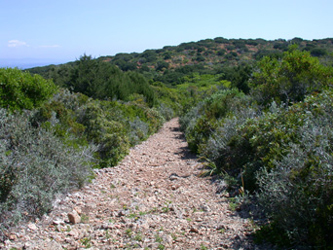 Giannutri verso la punta S. Francesco