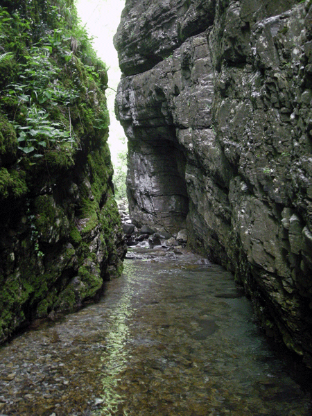Riserva Naturale dell Orrido di Botri Orrido di Botri