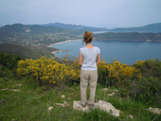 elba golfo stella