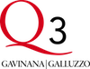 logo Q3